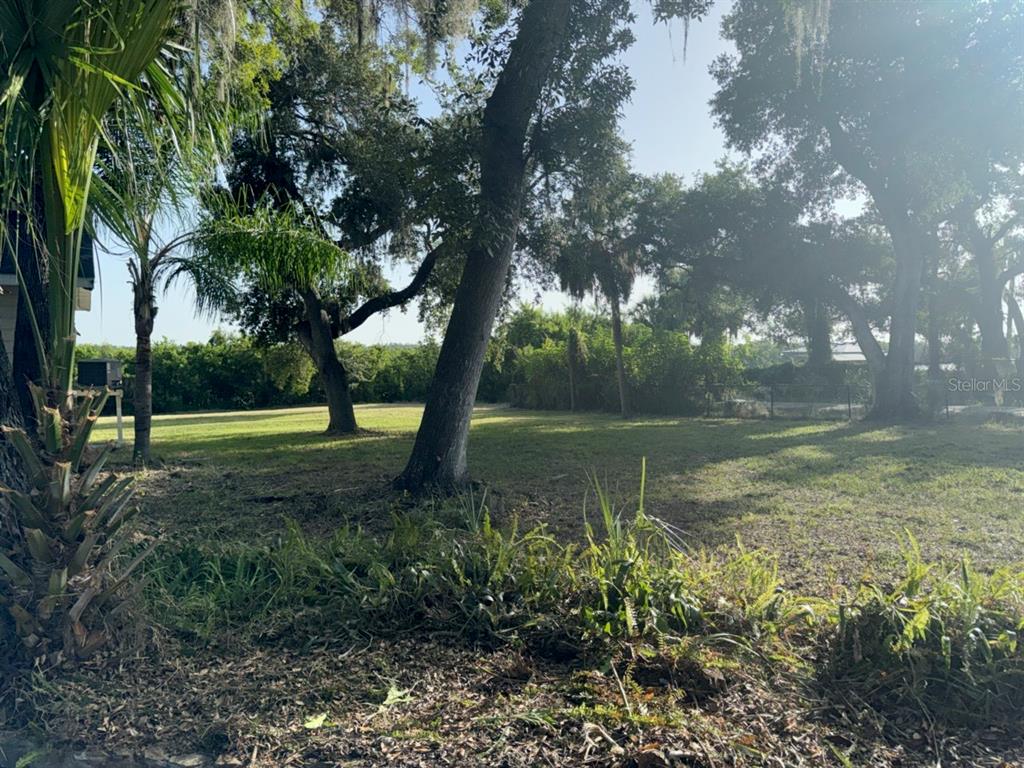 A grassy backyard features several large trees and a dense line of bushes in the distance — 9901 DAVIS STREET, GIBSONTON, FL