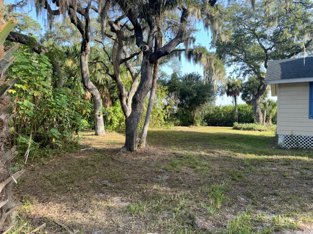 A grassy yard with large trees and Spanish moss sits beside a light-colored house exterior — 9901 DAVIS STREET, GIBSONTON, FL
