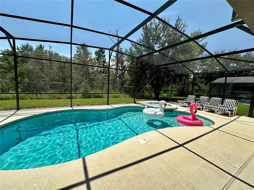 A screened-in swimming pool and hot tub are surrounded by a concrete patio — 9110 STROMBOLI COURT, KISSIMMEE, FL