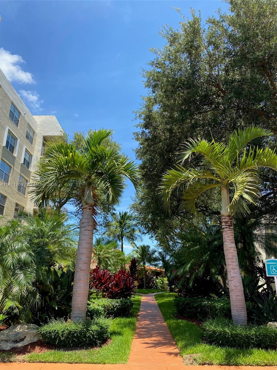 A paved walkway leads between two palm trees toward a building under a blue sky — 13120 SW 92nd Ave # 414, Miami FL 33176, MIAMI, FL