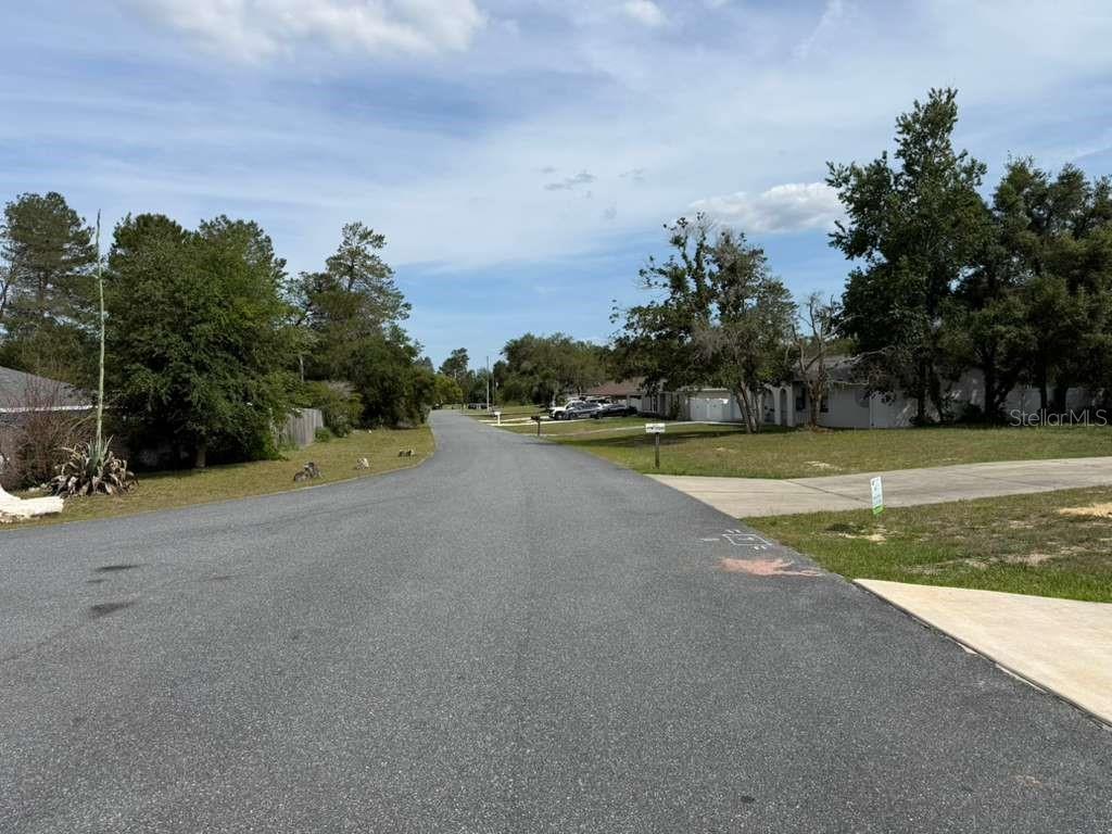 A paved residential street stretches forward between grassy yards and mature trees under a sky — 2455 SW 159TH LANE, OCALA, FL
