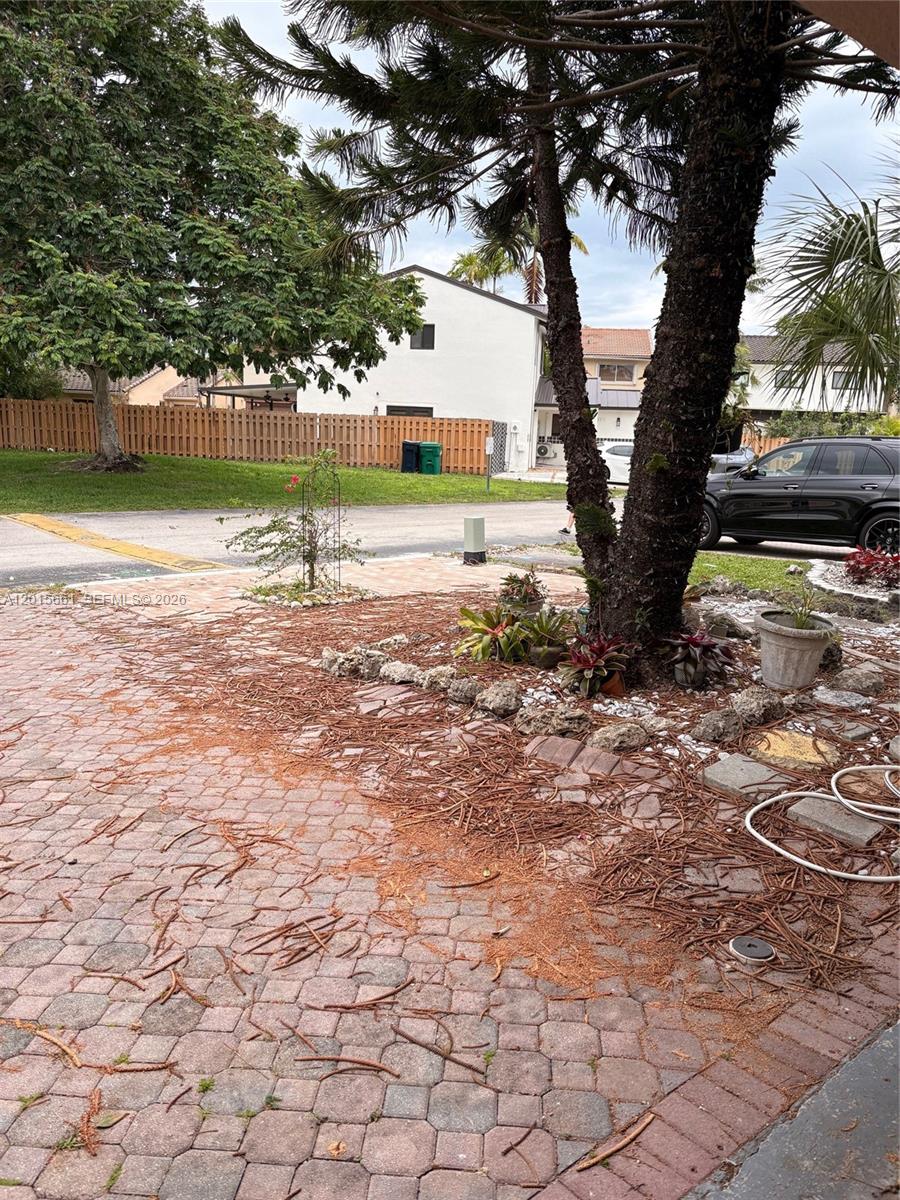 A paved driveway features a large tree, scattered pine needles, and a small garden bed — 10135 SW 156th Ave, Miami FL 33196, MIAMI, FL