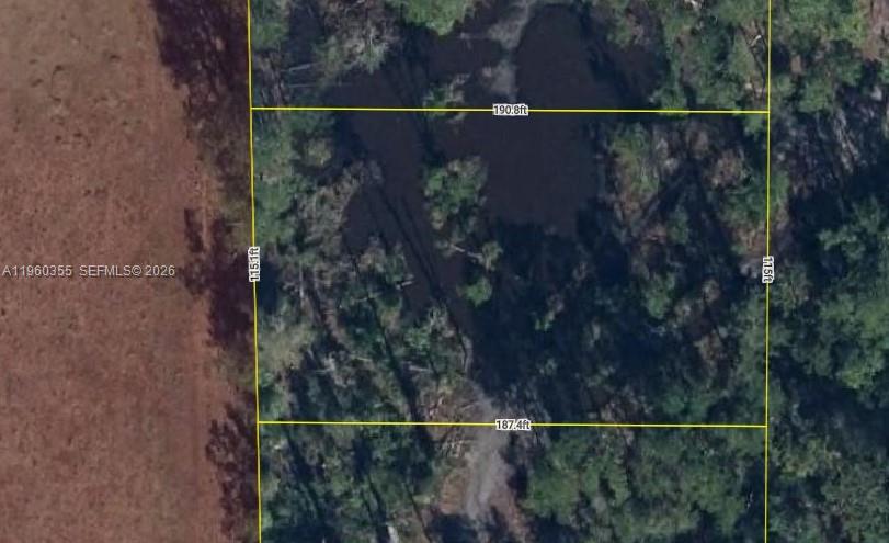 This is an aerial map showing a rectangular plot of land with dimensions and vegetation — 5121 RHUBARB ST, Sebring FL 33875, SEBRING, FL