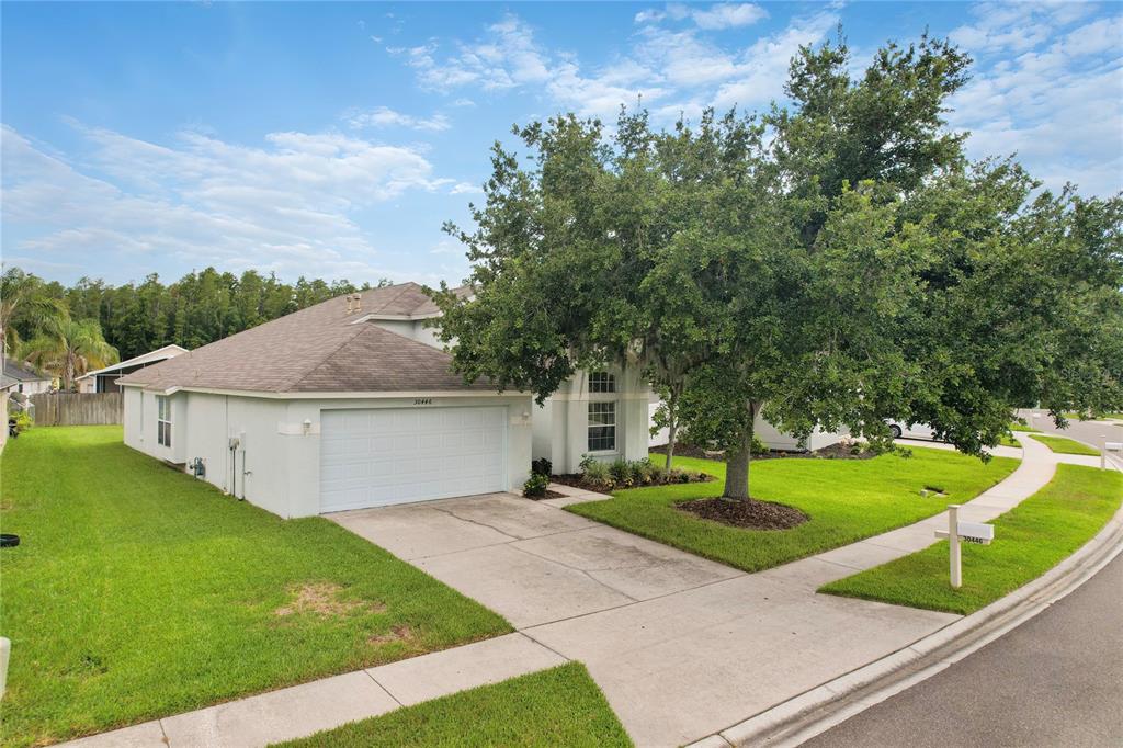 A single-story house with a two-car garage, a large tree, and a concrete driveway — 30446 TREMONT DRIVE, WESLEY CHAPEL, FL