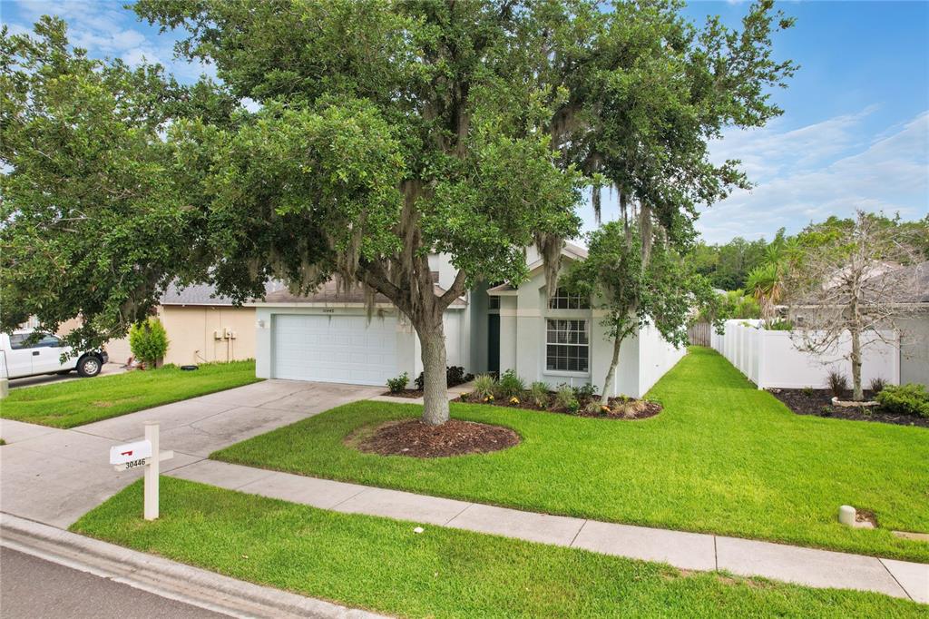A single-story house with a light-colored exterior, a two-car garage, and a large oak tree — 30446 TREMONT DRIVE, WESLEY CHAPEL, FL