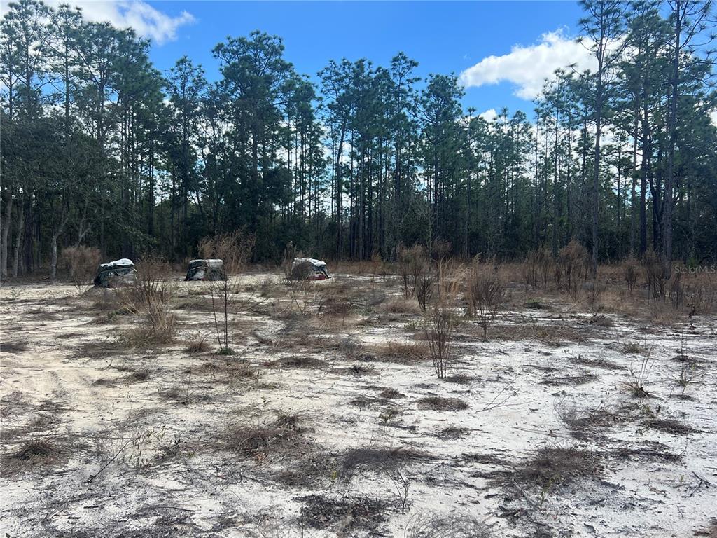 A sandy, undeveloped lot features sparse vegetation and three covered items in the background — 0000 SE 135TH COURT SE, DUNNELLON, FL