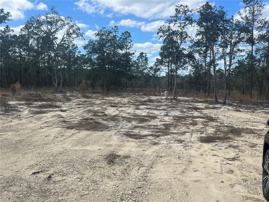A cleared, sandy lot is surrounded by a dense forest under a blue sky — 0000 SE 135TH COURT SE, DUNNELLON, FL