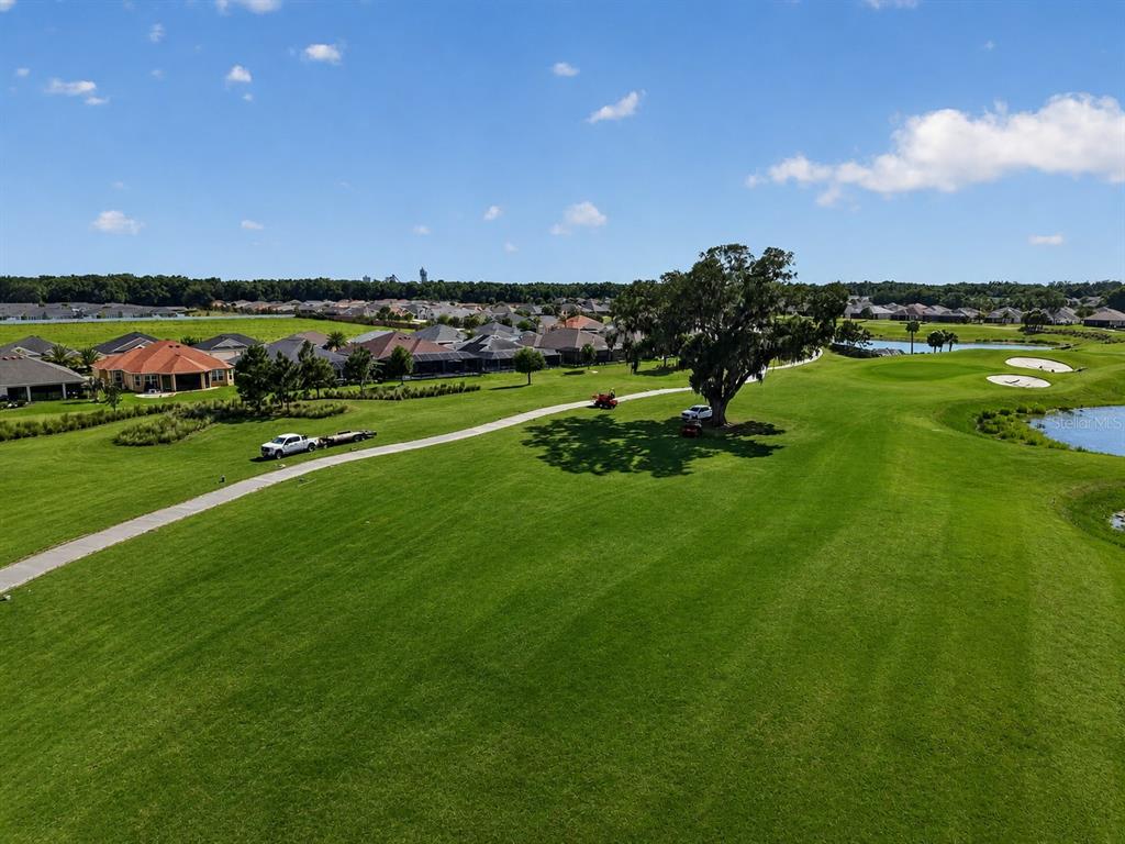 An aerial view of a golf course fairway with a large tree and nearby houses — 2165 GORDON PATH, THE VILLAGES, FL