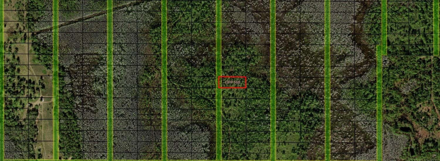 This is a satellite map view showing a rectangular land parcel labeled OPP 168 — 0 Old Grade Road, FL 33868, FL