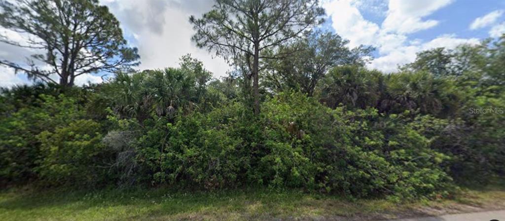A dense, overgrown lot filled with trees and shrubs under a cloudy sky — 1320 COMMERCE ST, PORT CHARLOTTE, FL