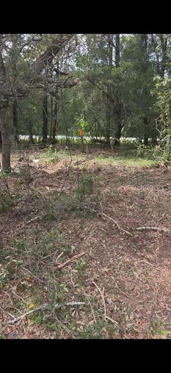 SE 112 PLACE, OCKLAWAHA, FL — photo 2 of 12