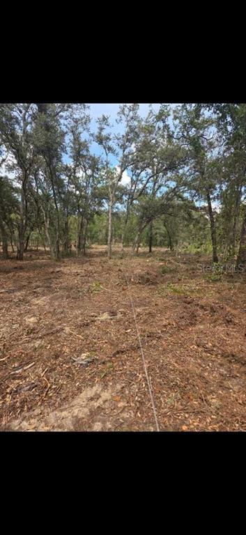 SE 112 PLACE, OCKLAWAHA, FL — photo 3 of 12