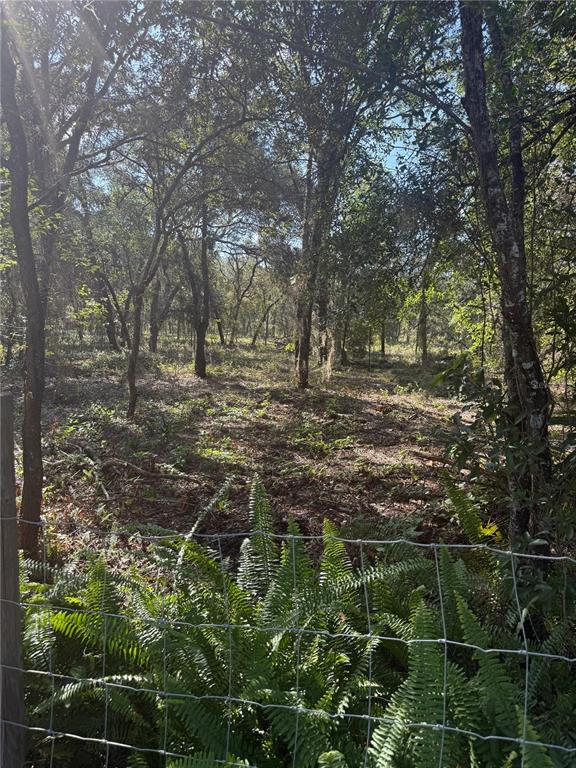 SE 112 PLACE, OCKLAWAHA, FL — photo 4 of 12
