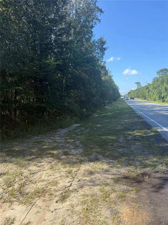SE 112 PLACE, OCKLAWAHA, FL — photo 5 of 12