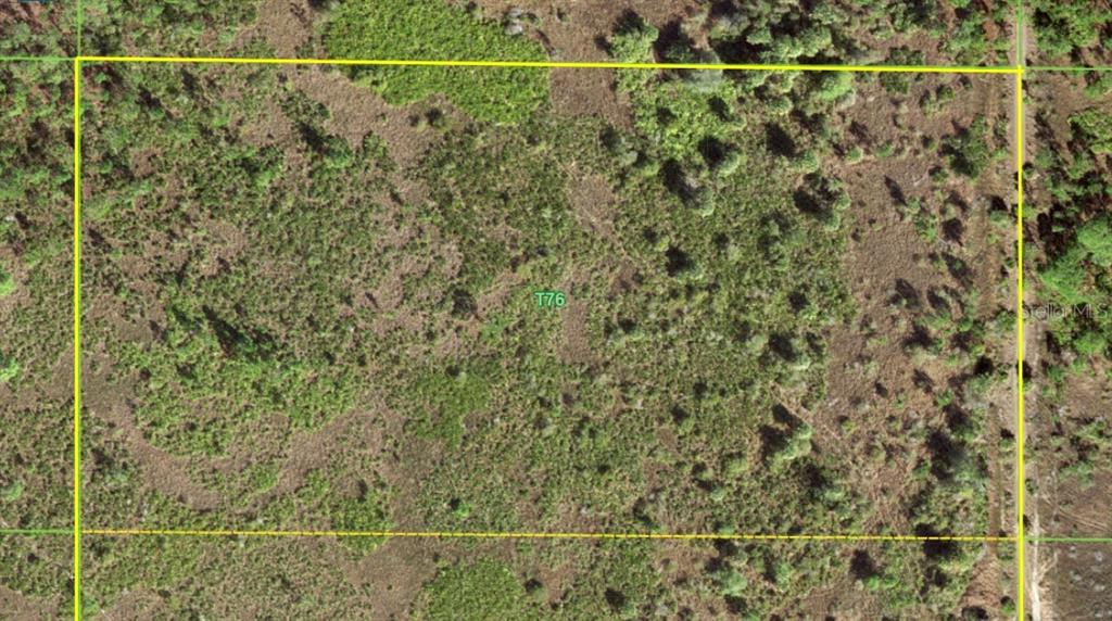 An aerial view of a rectangular plot of undeveloped land marked with a yellow border — 50530 BERMONT ROAD, PUNTA GORDA, FL