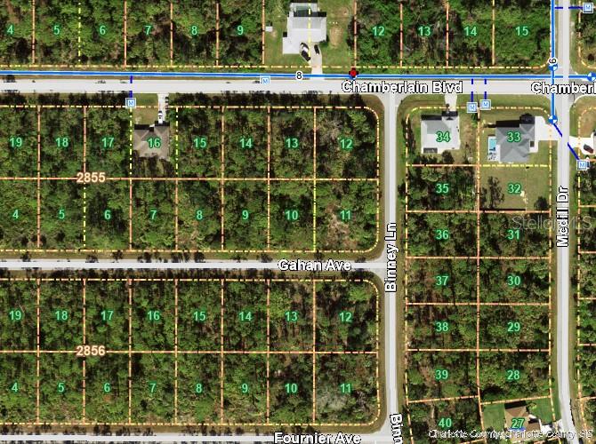 This is a satellite map showing residential lots and streets in a wooded neighborhood — 12023 CHAMBERLAIN BOULEVARD, PORT CHARLOTTE, FL