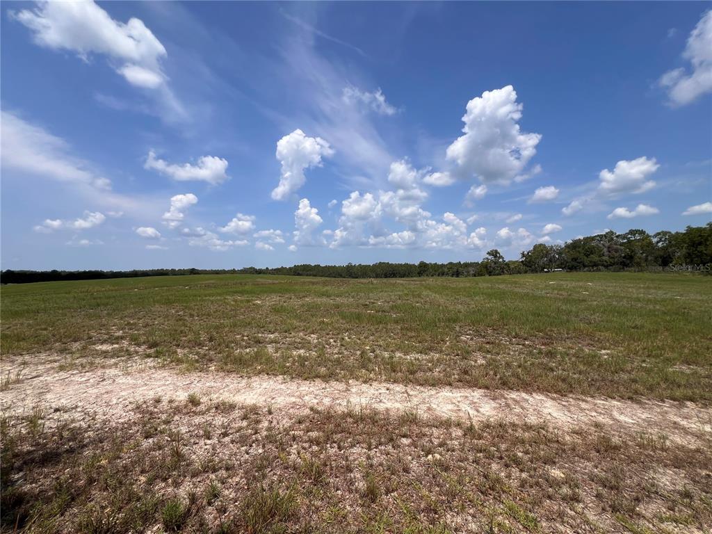 A wide, grassy field under a blue sky with scattered clouds — 5990 W OAKHILL STREET, DUNNELLON, FL