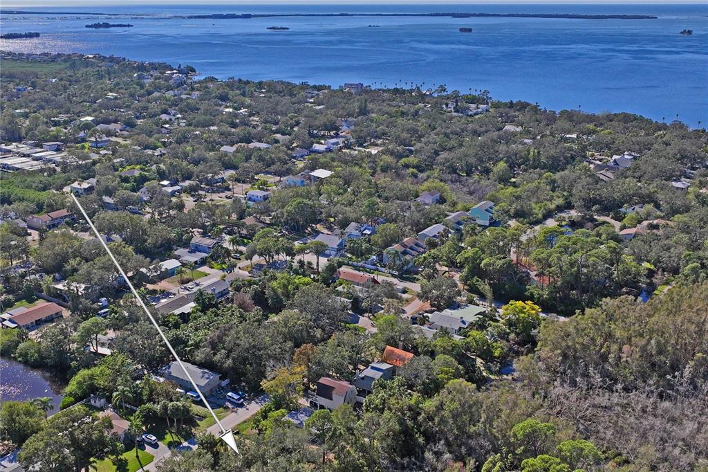 An aerial view shows a residential neighborhood with an arrow pointing toward a wooded lot — 174 AVERY AVENUE UNIT 21 & 1, CRYSTAL BEACH, FL