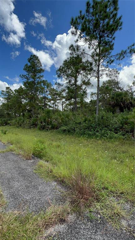 313 JAMES IRWIN TERRACE, LABELLE, FL — photo 3 of 3