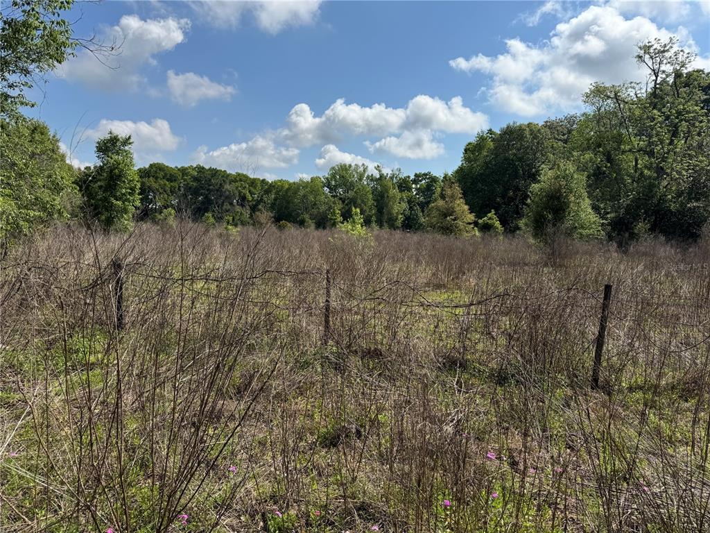 A wire fence runs across a field of tall, dry grass with trees in the background — 2551 SW 107TH PLACE, OCALA, FL