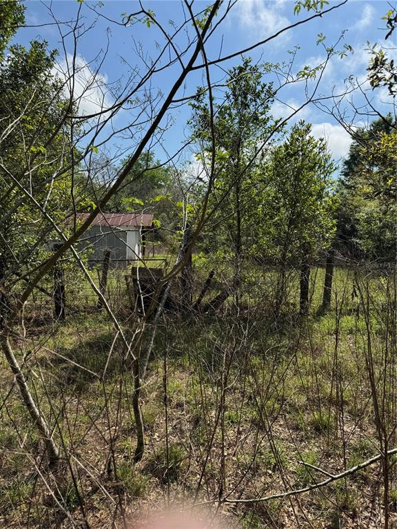 A small shed sits behind a wire fence in a wooded, grassy lot — 2551 SW 107TH PLACE, OCALA, FL