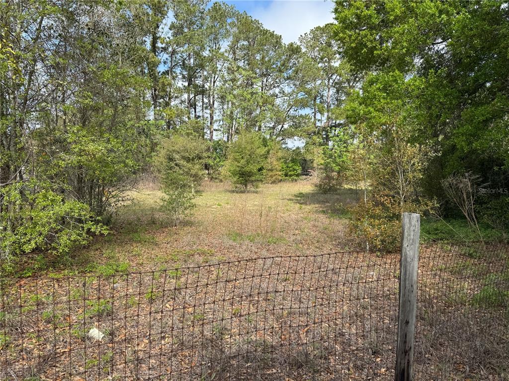 A fenced, grassy vacant lot is surrounded by trees and dense vegetation — 2551 SW 107TH PLACE, OCALA, FL