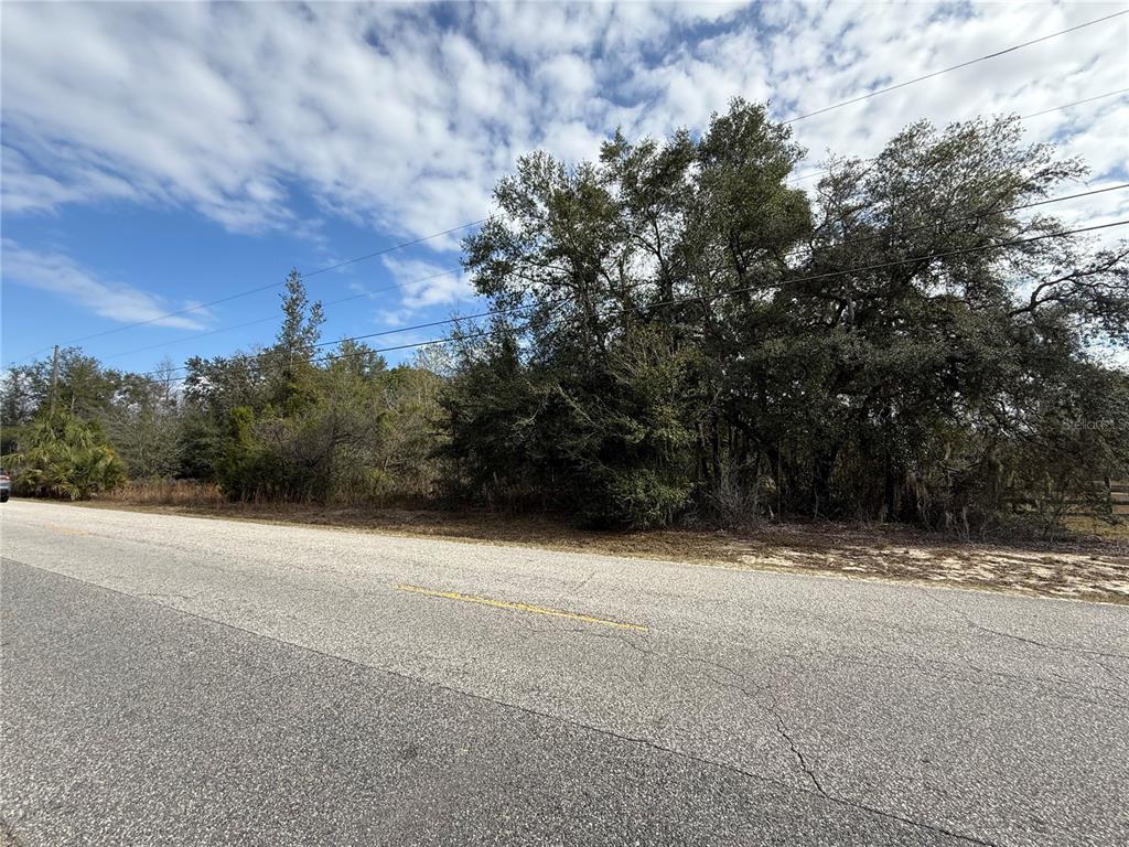 SE 92ND COURT, BELLEVIEW, FL — photo 2 of 17