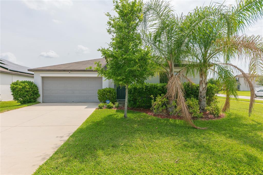 A single-story house with a gray garage, a palm tree, and a manicured lawn — 13608 WILLOW BLUESTAR LOOP, RIVERVIEW, FL