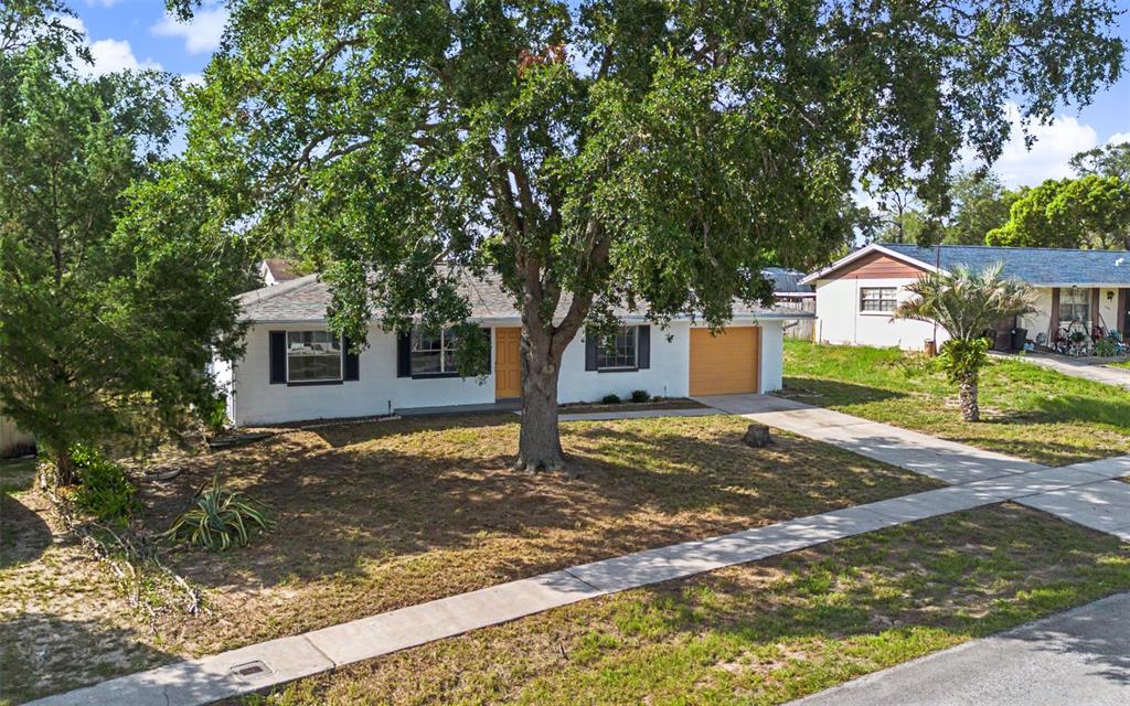 A white single-story house with a tan garage door and a large tree in front — 12368 MAYBERRY ROAD, SPRING HILL, FL