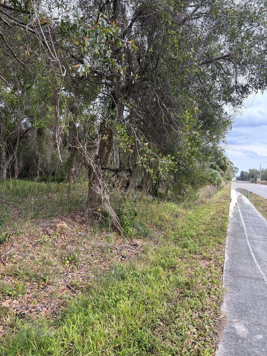 A view of a wooded lot next to a paved sidewalk and road — 0 NW 1st Street, Okeechobee FL 34972, OKEECHOBEE, FL