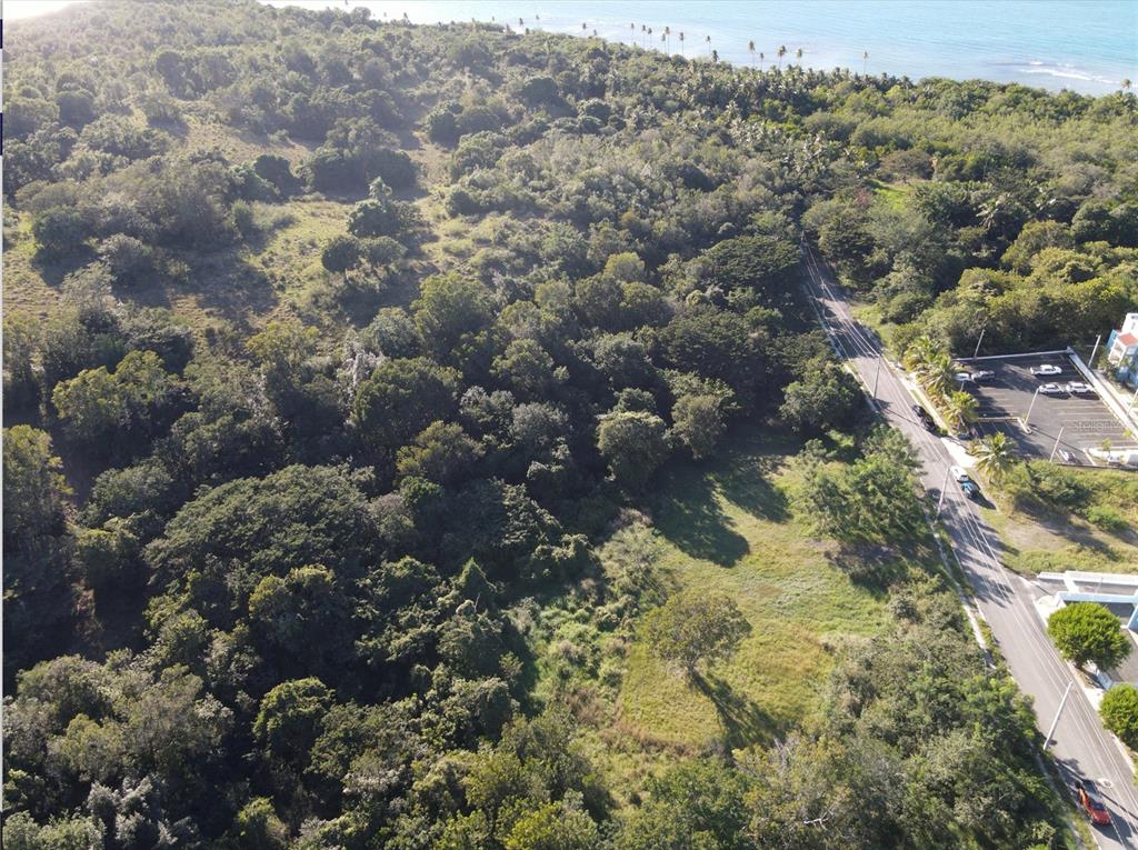 An aerial view shows a wooded lot next to a road and a parking area — CARR. 307, KM. 3.5 LA MELA, BO. PEDERNALES, CABO ROJO, PR