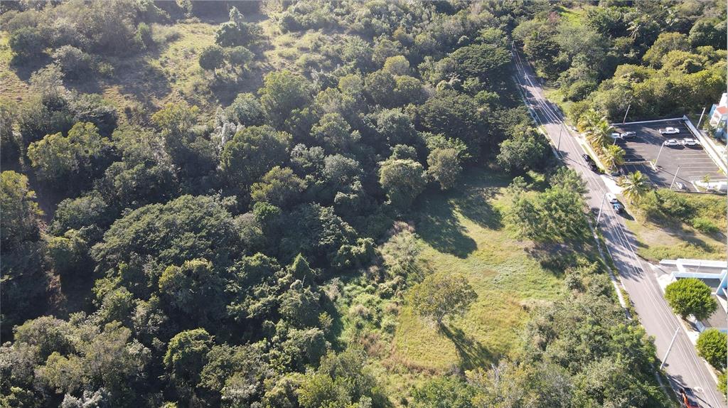 An aerial view shows a grassy vacant lot bordered by dense trees and a paved road — CARR. 307, KM. 3.5 LA MELA, BO. PEDERNALES, CABO ROJO, PR