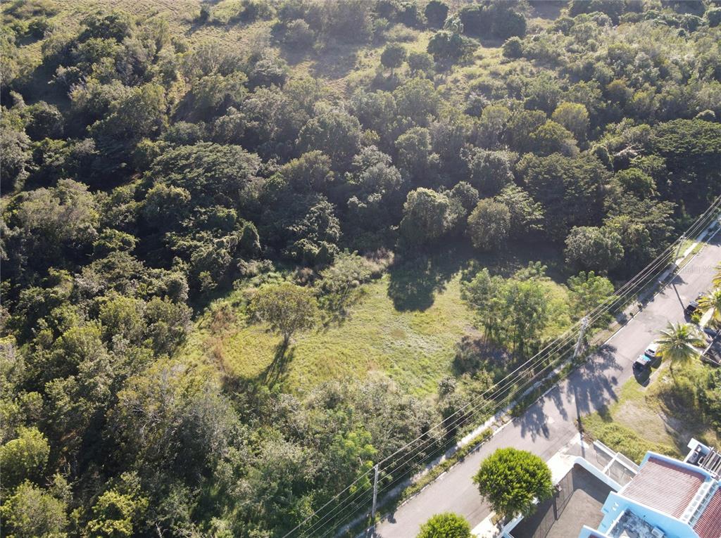 An aerial view shows a grassy vacant lot bordered by dense trees and a paved road — CARR. 307, KM. 3.5 LA MELA, BO. PEDERNALES, CABO ROJO, PR