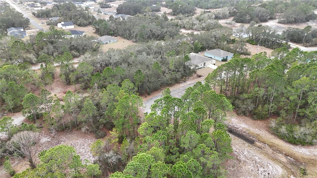 An aerial view shows a wooded residential lot with a paved road and nearby houses — 1255 WAHNETA DRIVE, KISSIMMEE, FL