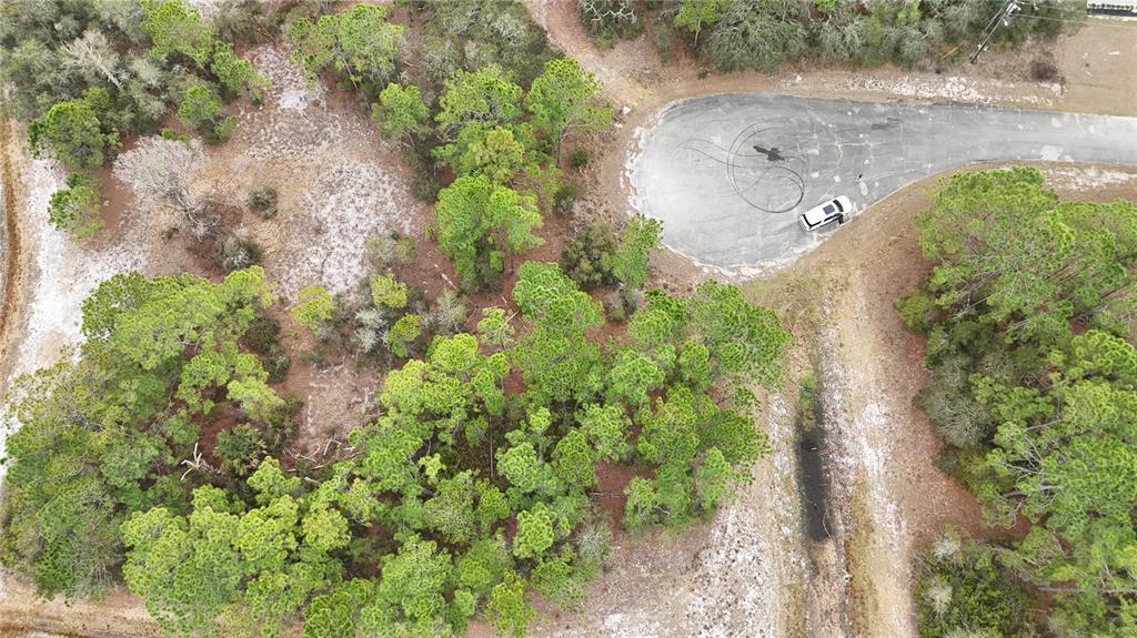 An aerial view shows a wooded lot adjacent to a paved cul-de-sac with a parked vehicle — 1255 WAHNETA DRIVE, KISSIMMEE, FL