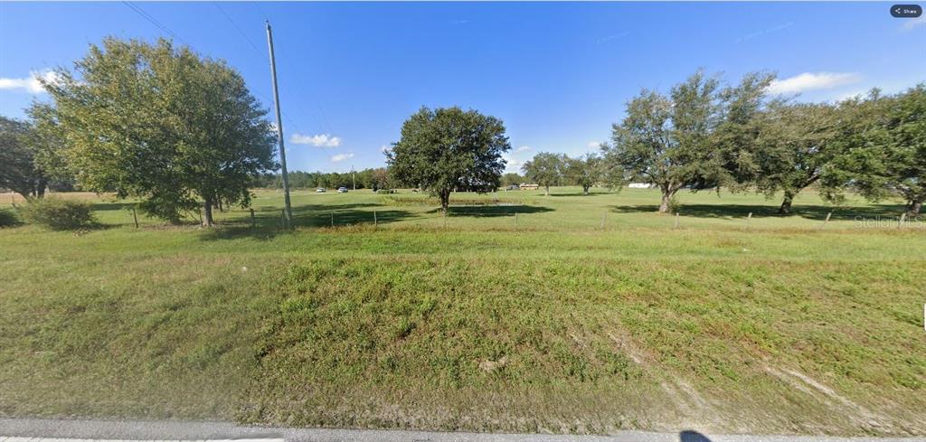 A wide, grassy, open lot with several scattered trees under a clear blue sky — OLD GRADE RD, POLK CITY, FL