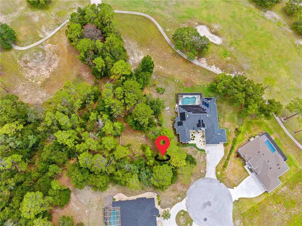 An aerial view shows a residential property with a house, pool, and surrounding wooded area — 17 WOODLEE COURT S, HOMOSASSA, FL
