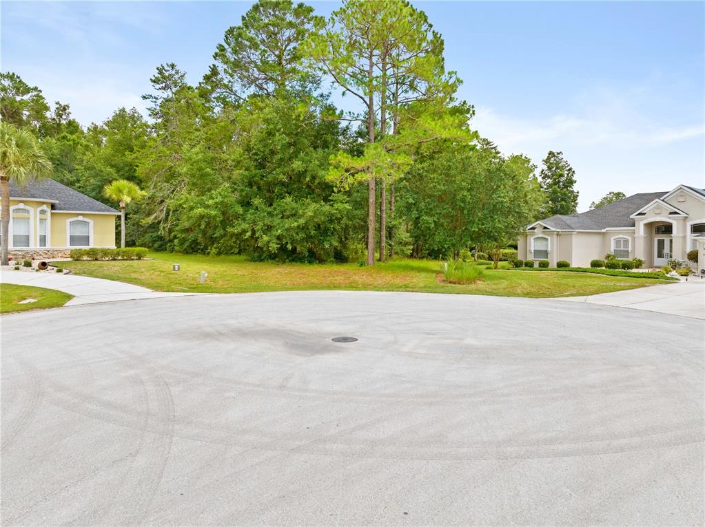 A cul-de-sac street sits between two suburban houses with a wooded area in the background — 17 WOODLEE COURT S, HOMOSASSA, FL