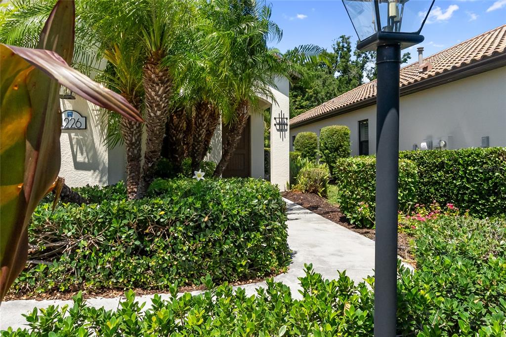 A concrete walkway leads to the front entrance of a house with palm trees — 4226 MIDNIGHT BLUE RUN, BRADENTON, FL
