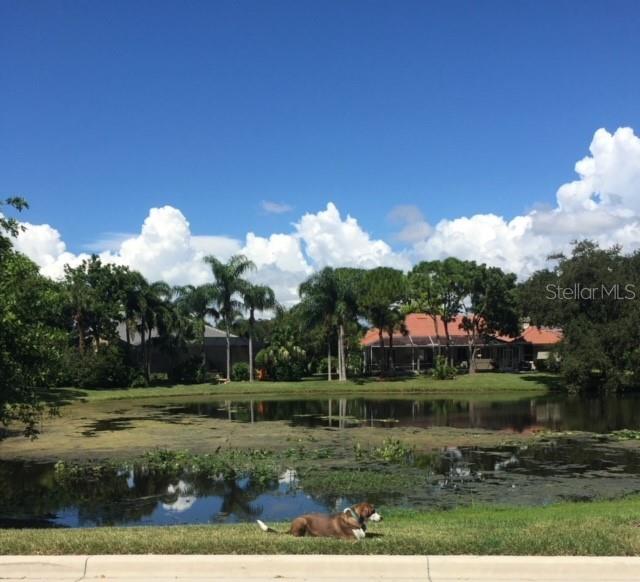 A dog rests on the grassy bank of a pond in front of a house — 3625 SQUARE WEST LANE UNIT 4, SARASOTA, FL