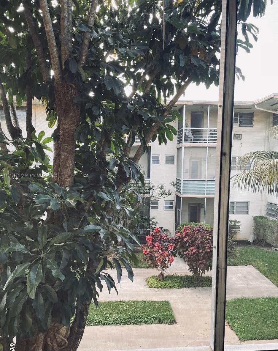 A view from a window shows a large tree, a courtyard, and a multi-story building — 1355 NE 167th St # 209, Miami FL 33162, MIAMI, FL