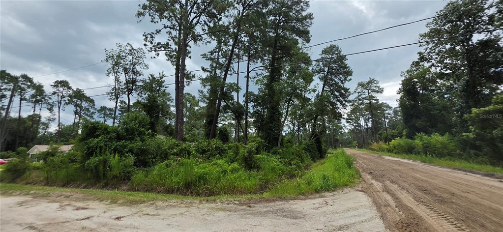 A vacant, wooded lot sits next to a house along a dirt road — 10TH AVENUE, DELAND, FL