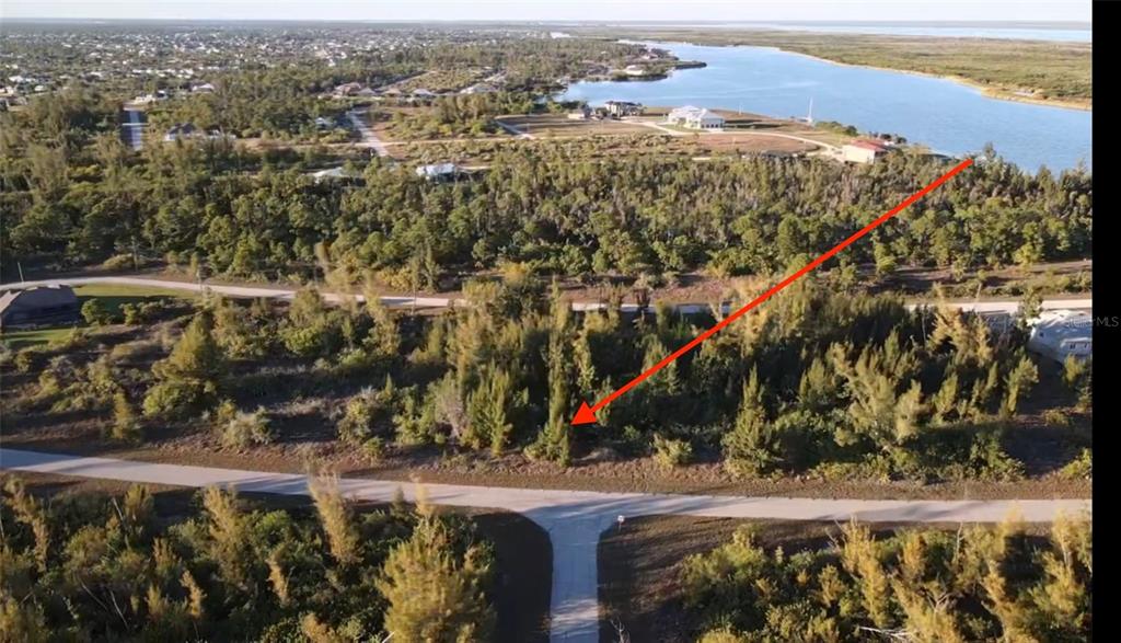 An aerial view shows a wooded, undeveloped residential lot near a body of water — 10549 ABELLO ROAD, PORT CHARLOTTE, FL
