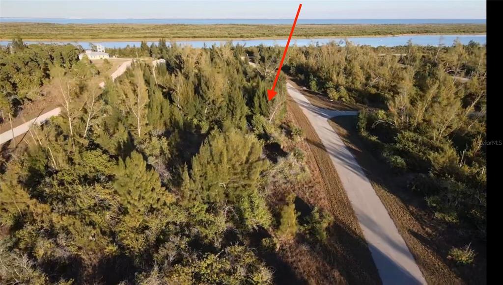 An aerial view shows a wooded, undeveloped lot next to a paved road near water — 10549 ABELLO ROAD, PORT CHARLOTTE, FL