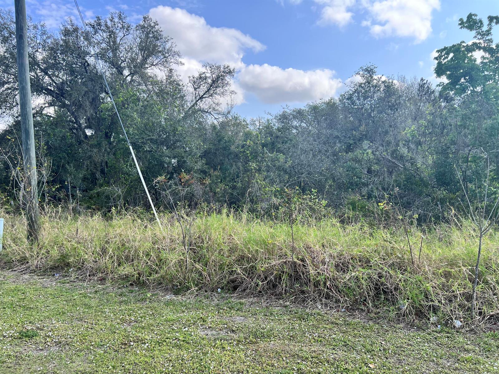 A grassy, overgrown lot is bordered by dense trees and a utility pole — 13528 Hull Street, FL 33875, FL
