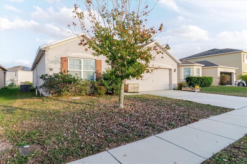 A single-story suburban house with a beige exterior, a front tree, and a concrete driveway — 525 SQUIRES GROVE DRIVE, WINTER HAVEN, FL