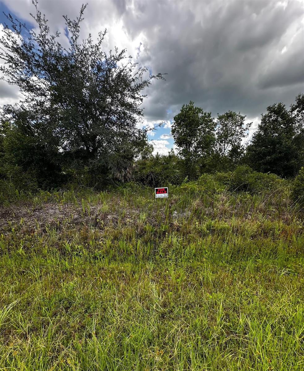 A vacant, grassy lot features a small for sale sign in front of dense trees — 16114 NW 262nd Street, Okeechobee FL 34972, OKEECHOBEE, FL