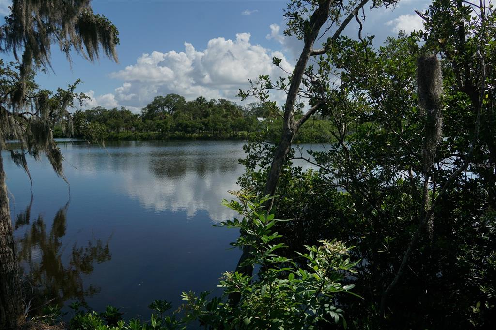 A view of a calm lake surrounded by trees with Spanish moss under a cloudy sky — TIBERIUS TRAIL, NEW PORT RICHEY, FL