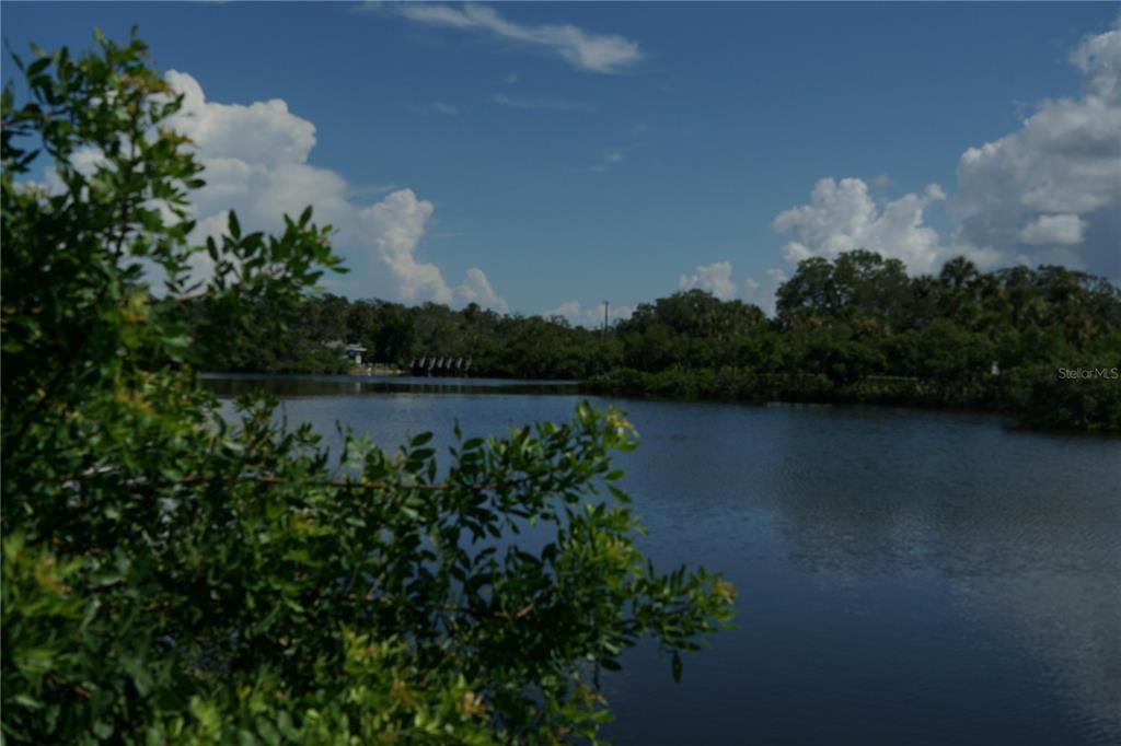 A view of a calm lake surrounded by lush green trees under a cloudy sky — TIBERIUS TRAIL, NEW PORT RICHEY, FL