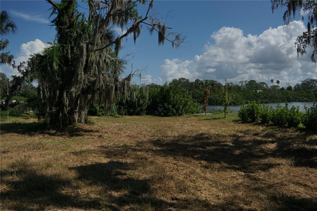 A grassy lot with a large moss-covered tree overlooks a lake under a blue sky — TIBERIUS TRAIL, NEW PORT RICHEY, FL